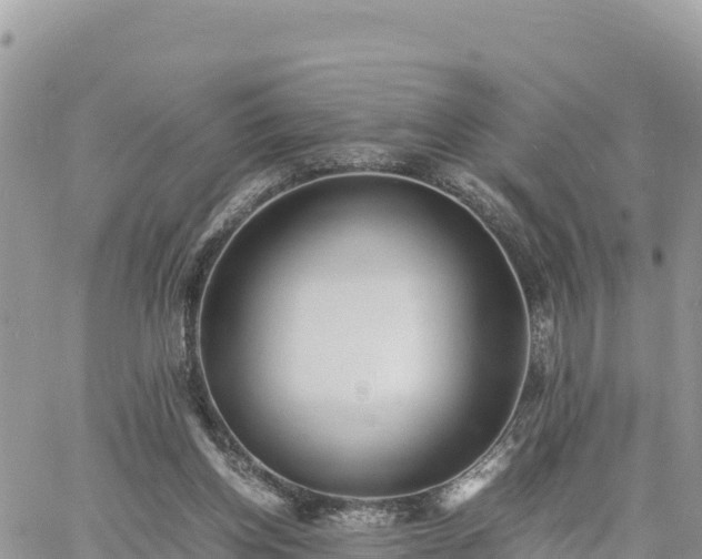 X0000060750158200511171131