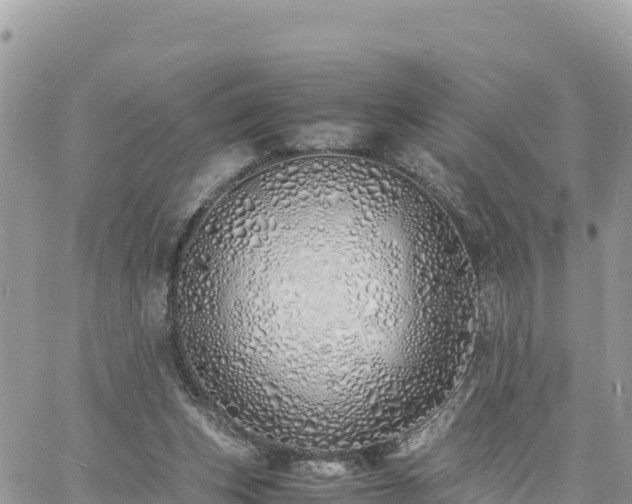 X0000060750159200511171131