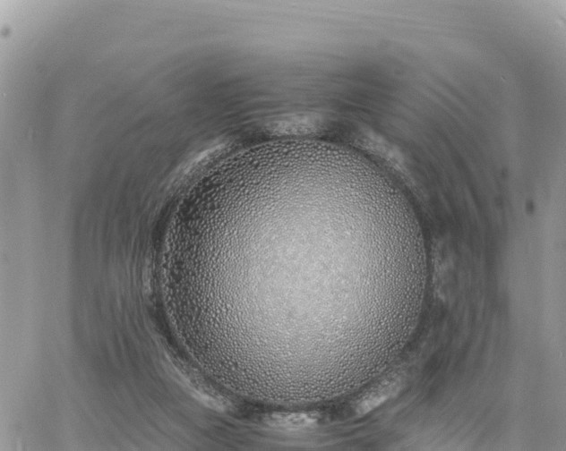 X0000060750161200511171131