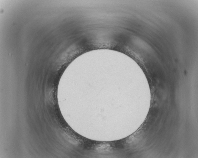 X0000060750162200511171131