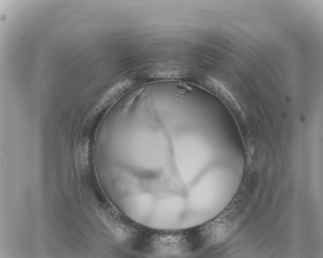 X0000060750163200511171131