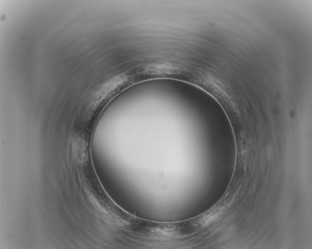 X0000060750164200511171131