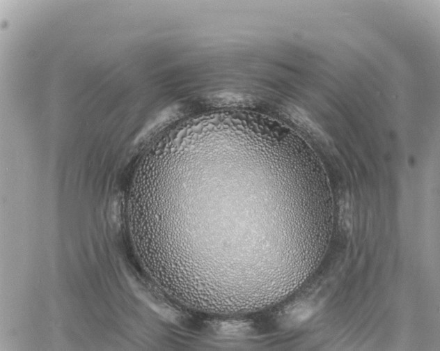 X0000060750165200511171131