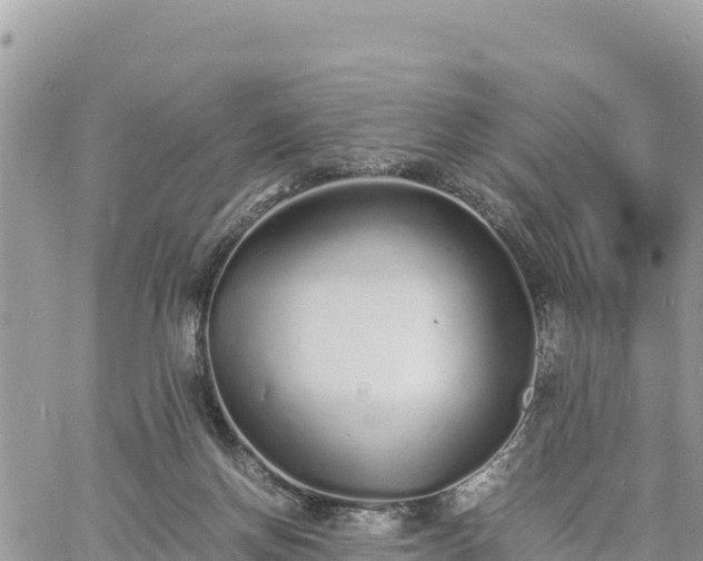 X0000060750166200511171131