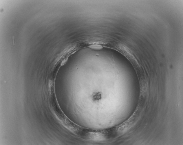 X0000060750167200511171131