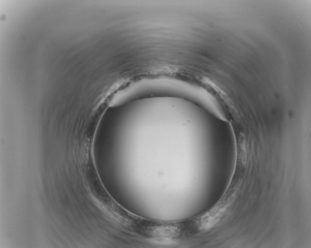 X0000060750168200511171132