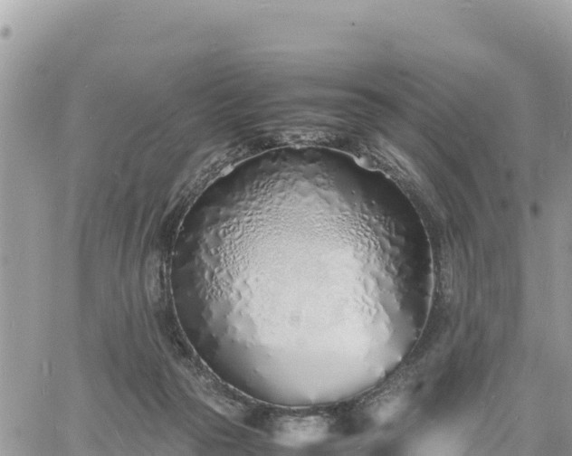 X0000060750169200511171132