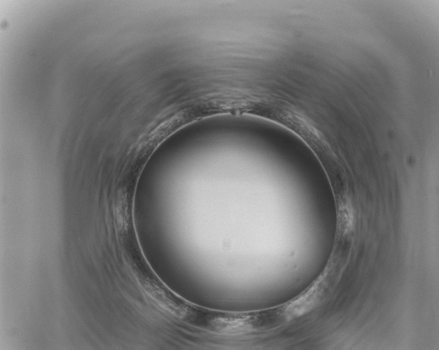 X0000060750170200511171132