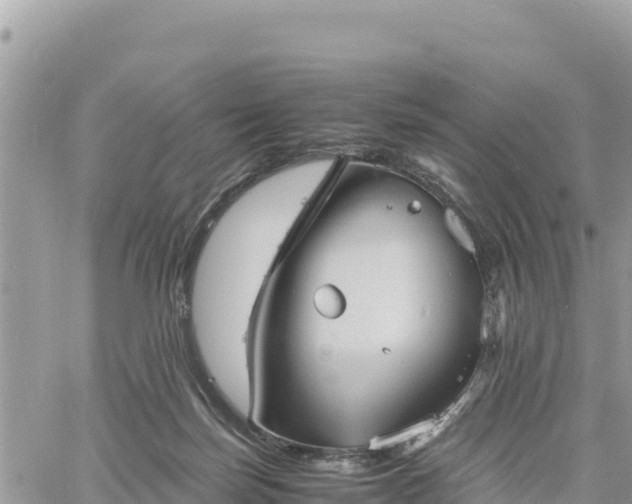 X0000060750171200511171132