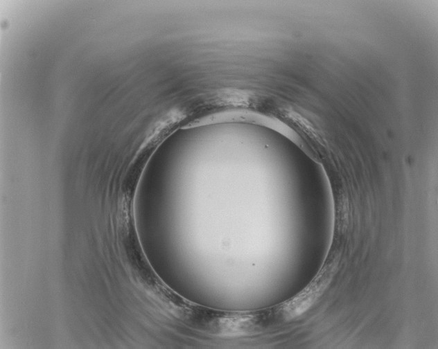 X0000060750172200511171132