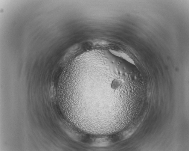 X0000060750173200511171132