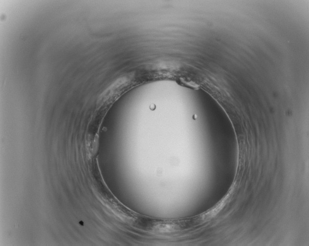 X0000060750174200511171132