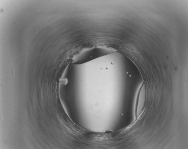 X0000060750175200511171132