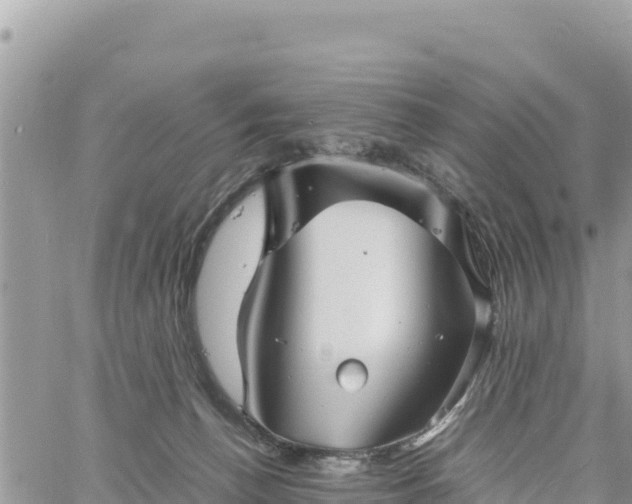 X0000060750176200511171132