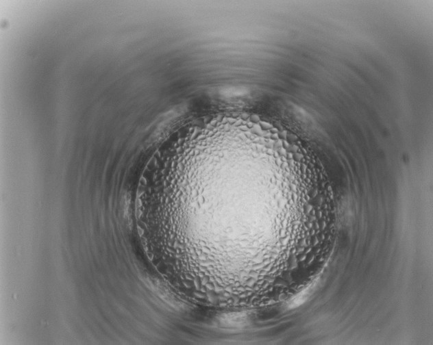 X0000060750178200511171132