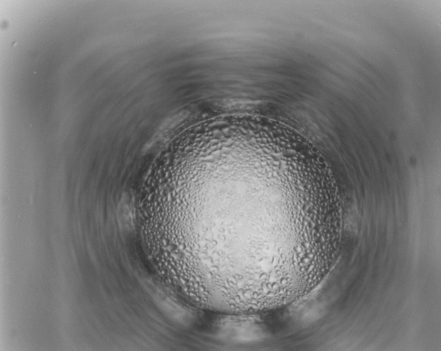 X0000060750179200511171132