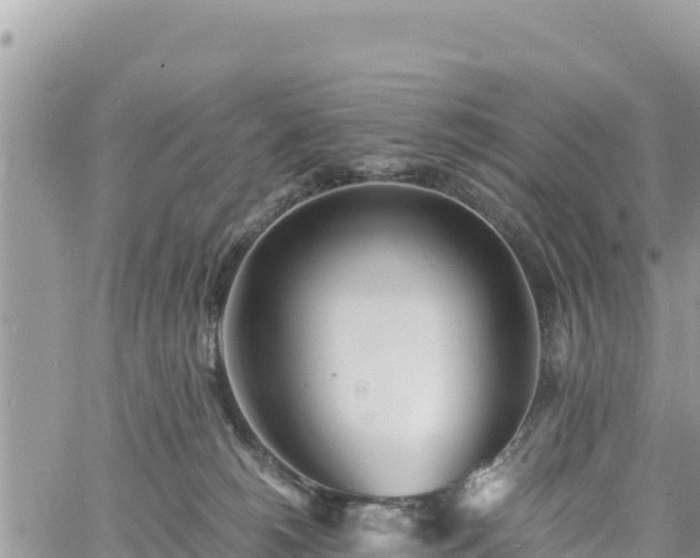 X0000060750180200511171132