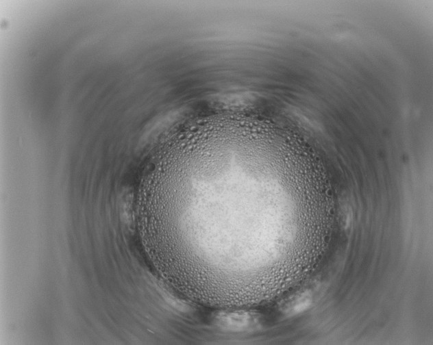 X0000060750181200511171132