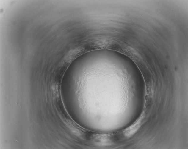 X0000060750182200511171132