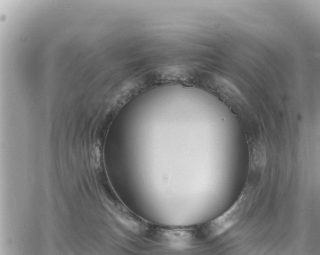 X0000060750183200511171132