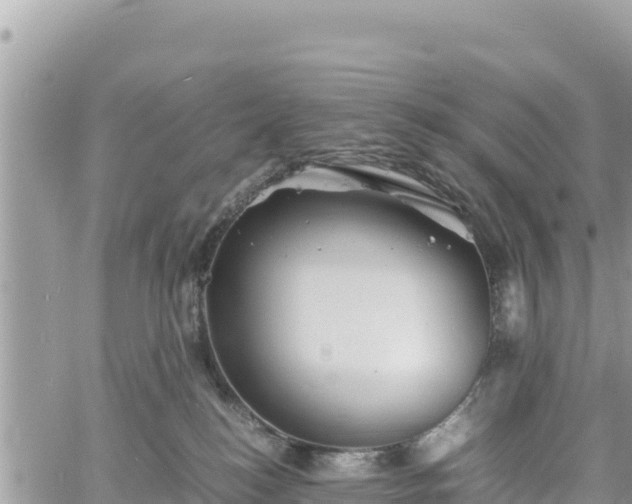 X0000060750184200511171132