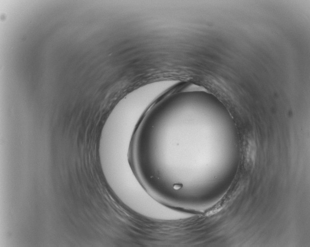 X0000060750185200511171132