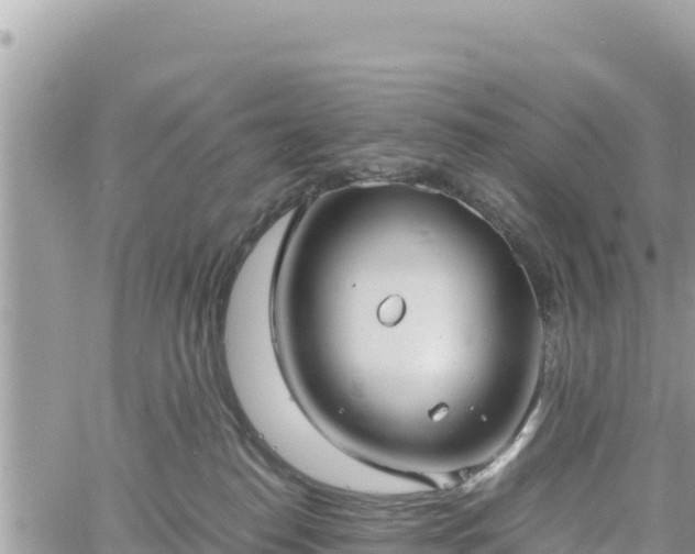 X0000060750186200511171132