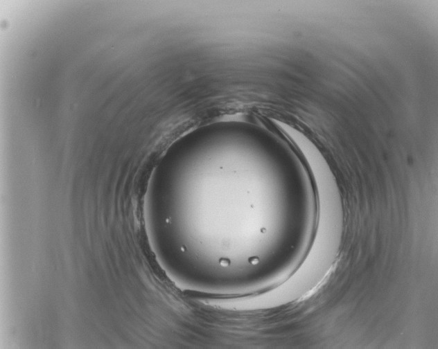 X0000060750187200511171132