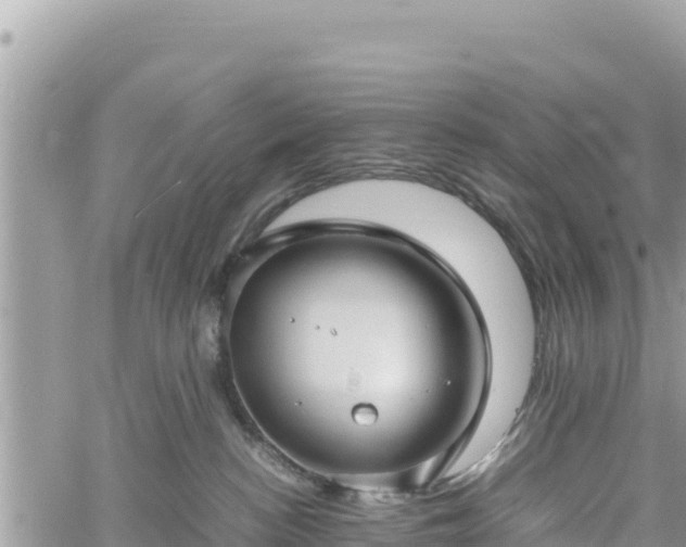 X0000060750188200511171132