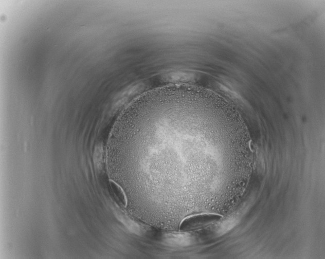 X0000060750189200511171132