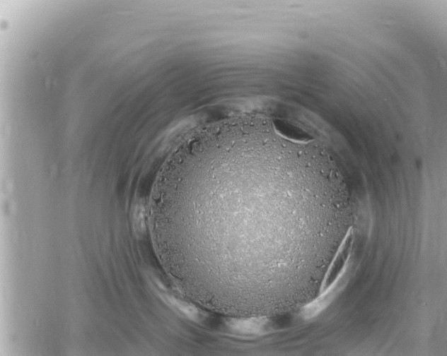 X0000060750191200511171132