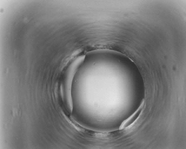 X0000060750192200511171132