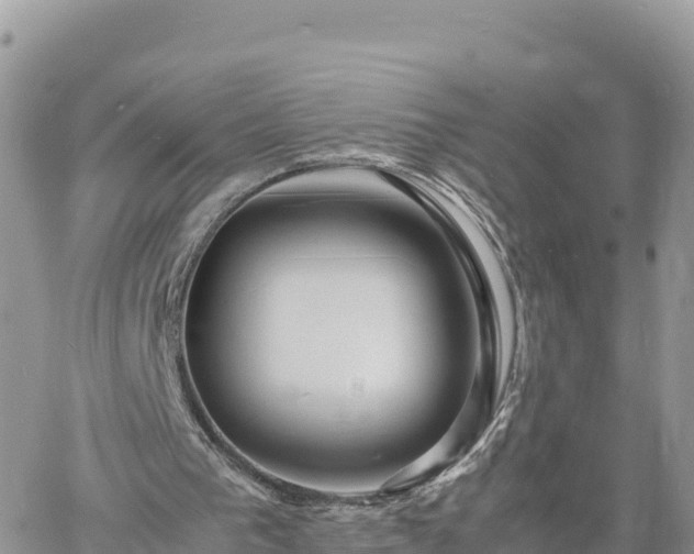 X0000060750193200511171131