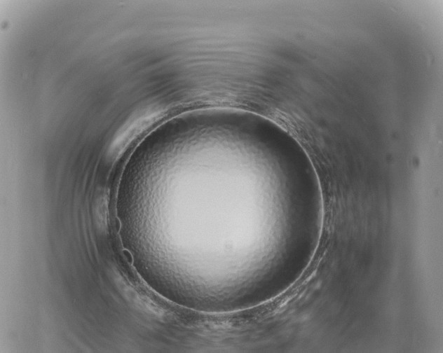 X0000060750194200511171131