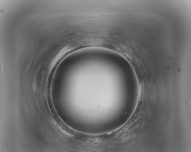 X0000060750195200511171131