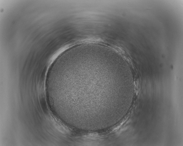 X0000060750196200511171131