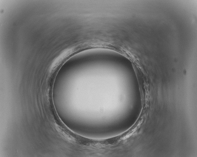 X0000060750197200511171131