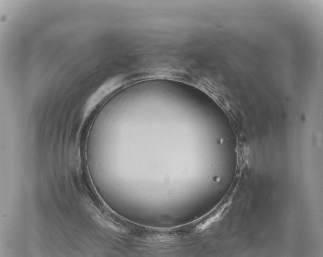 X0000060750198200511171131