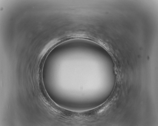 X0000060750199200511171131