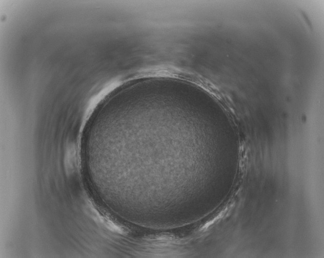 X0000060750200200511171131