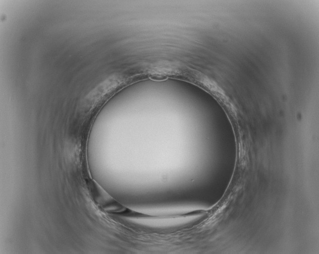 X0000060750201200511171131