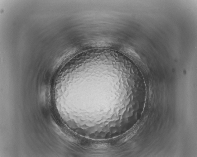 X0000060750202200511171131