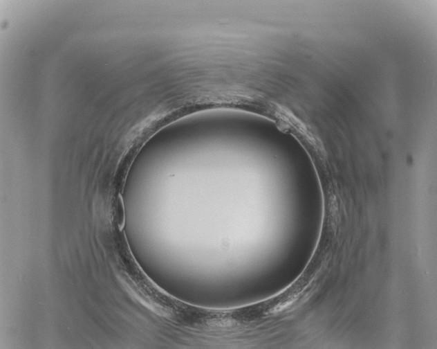 X0000060750203200511171131