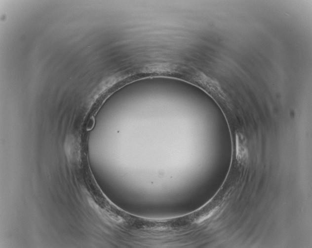 X0000060750204200511171131