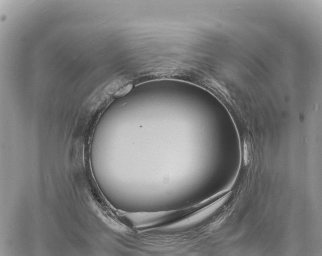 X0000060750205200511171131