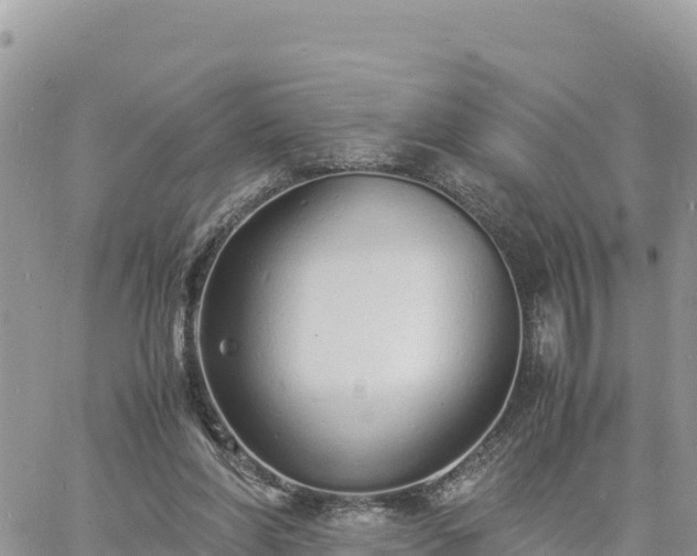 X0000060750206200511171131