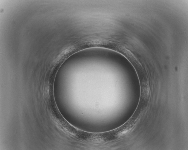 X0000060750207200511171131