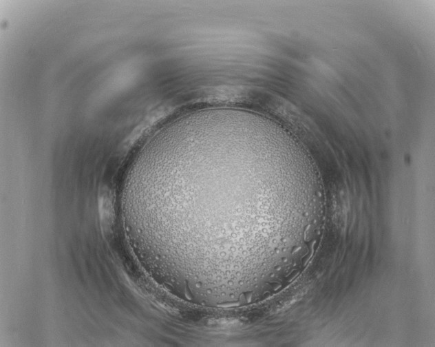 X0000060750208200511171131