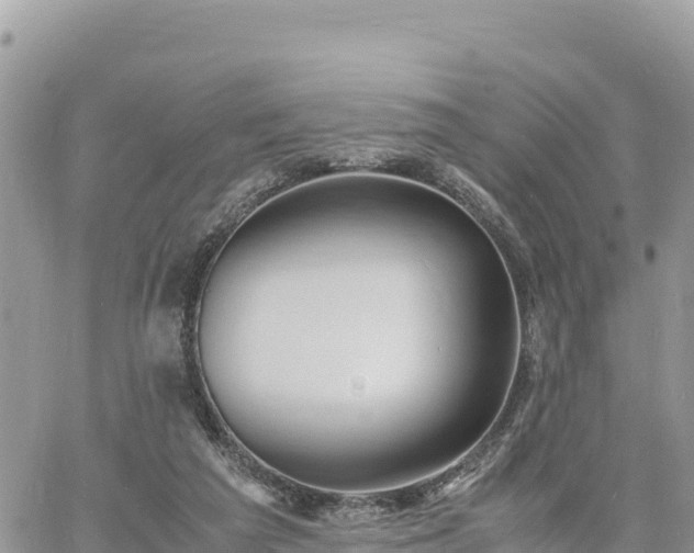 X0000060750209200511171131