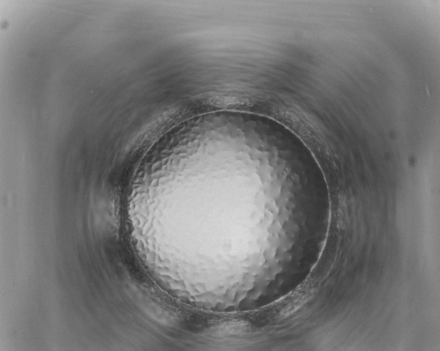 X0000060750210200511171131